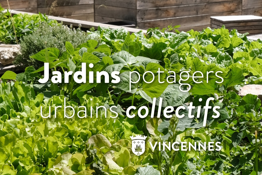 jardins potagers urbains collectifs