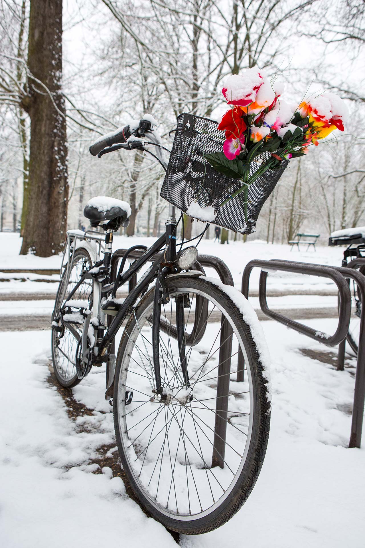 Vincennes sous la neige, vélo sous la neige