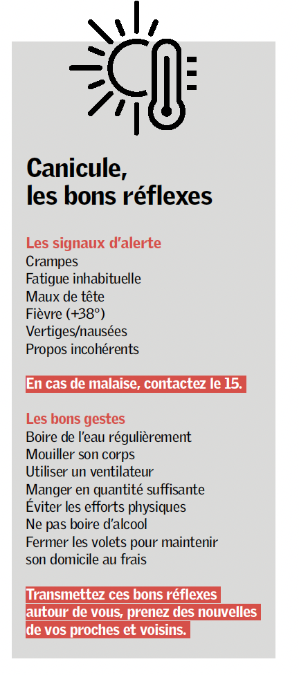 Canicule