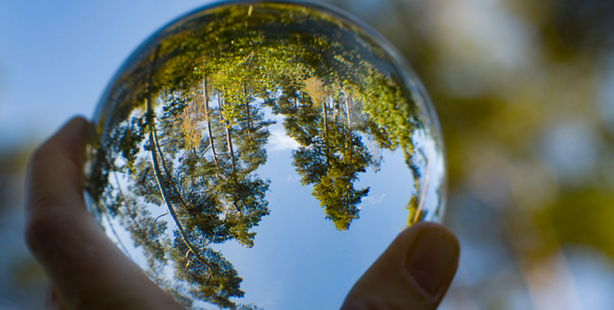 Biodiversité
