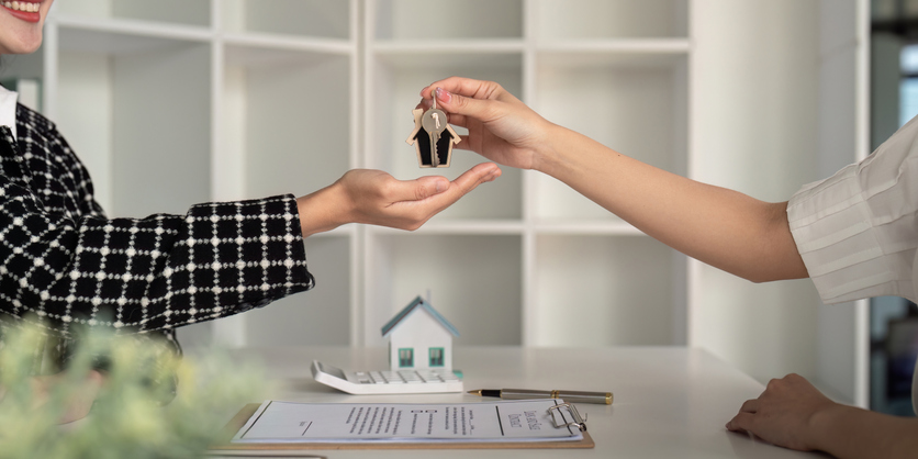 Immobilier, ravalement, cadastre