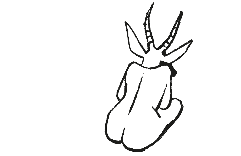 dessin d'une femme à la tête de gazelle