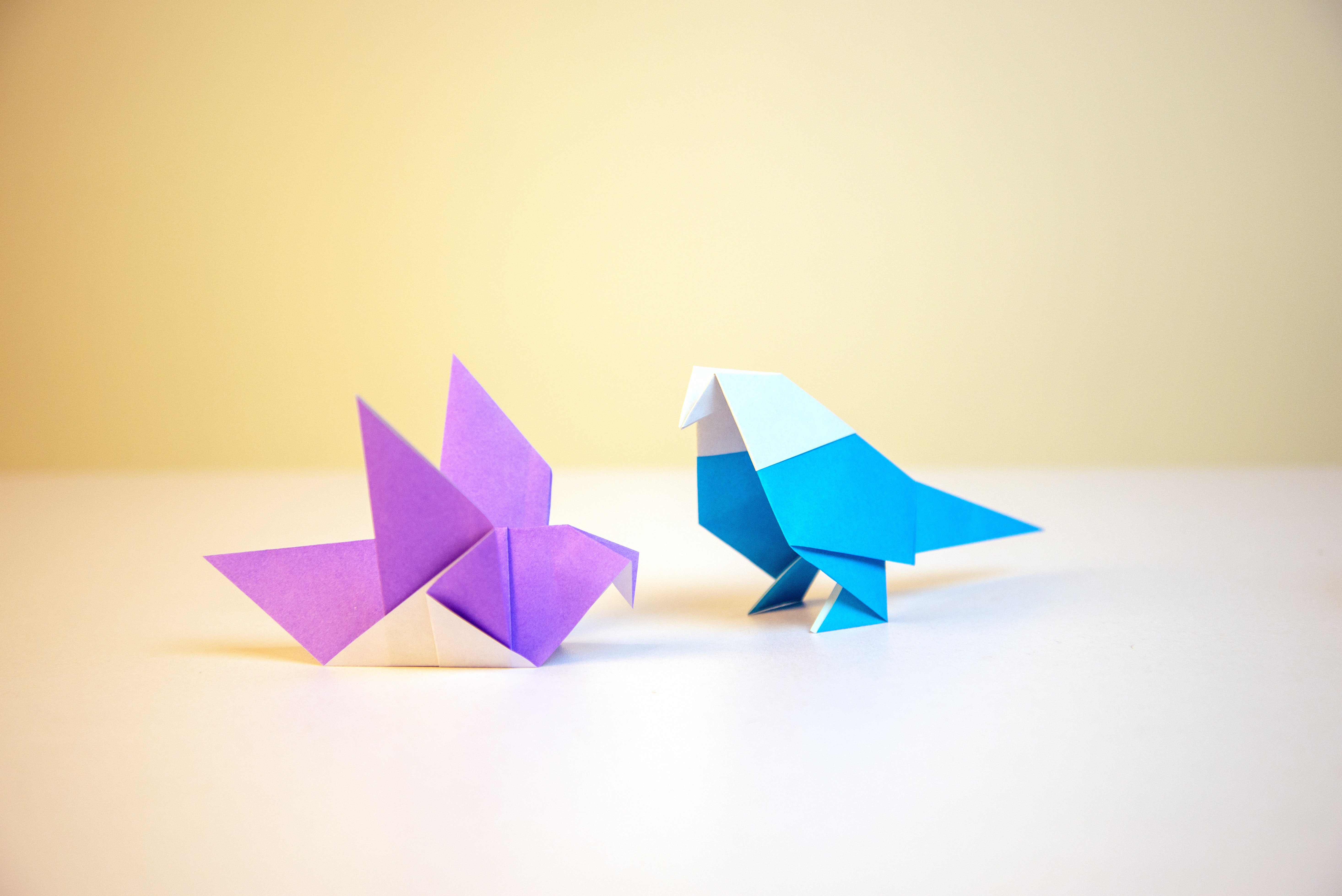 Atelier origami 