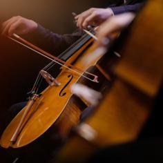 Audition de violoncelle