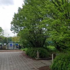 Salle Maurice-Tépaz