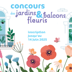 balcons fleuris 2025