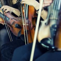 concert instruments à cordes 