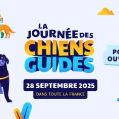 Chiens guides de paris