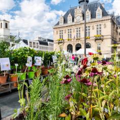 Journée du jardinier-Place de l'Hôtel de Ville