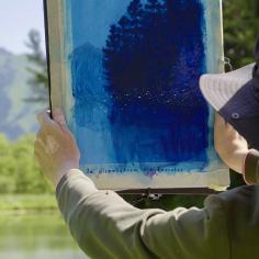 LaDisparitionDesLucioles