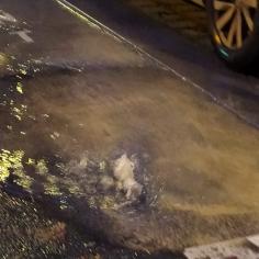 Fuite d'eau 30 novembre