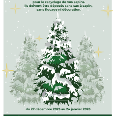 image d'un sapin en illustration