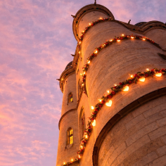 IMage d'en bas du Donjon du Château