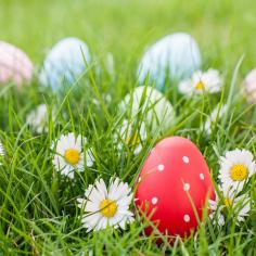 Pâques chasse aux oeufs dans le jardin