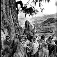 on y voit des femmes et des enfants aux pieds d'un arbre