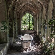 photo d'une ancienne salle de bain ou la végétation à prit sa place avec le temps