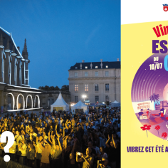 affiche du vec en jaune violet et bleu