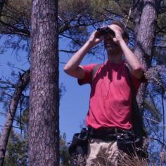 un homme tient des jumelles devant ses yeux en pleine nature