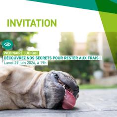 Un chien au sol tire la langue