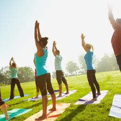 Des personnes de dos font du yoga en plein air
