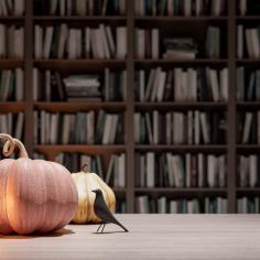 La chambre de l’assistant avec bibliothèque, vieux livres, citrouilles, potion, et les choses effrayantes
