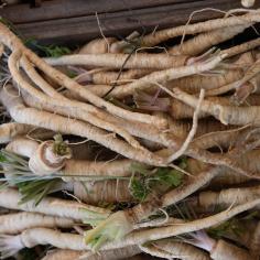 Marché de producteurs : Salsifis 