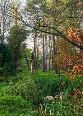 arboretum