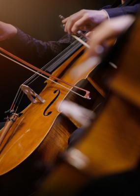 Audition de violoncelle