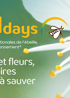 APIdays25
