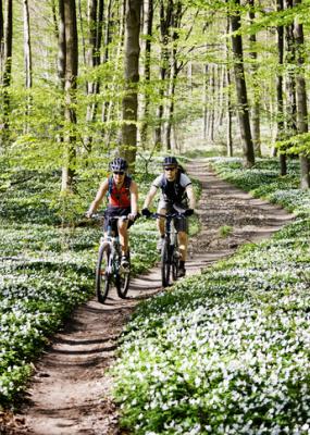 balade en vélo