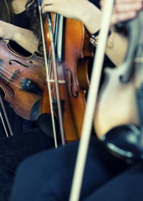 concert instruments à cordes 