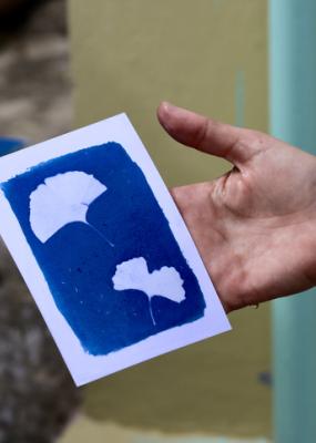 cyanotype