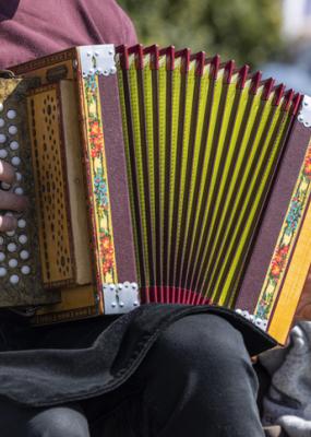 accordeons