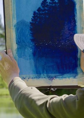 LaDisparitionDesLucioles