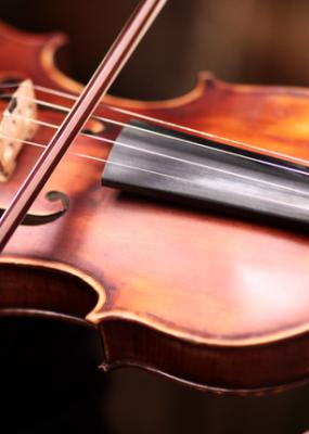 photo d'une personne jouant du violon