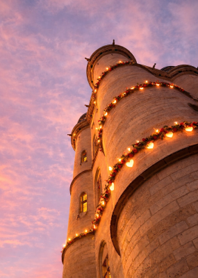 IMage d'en bas du Donjon du Château