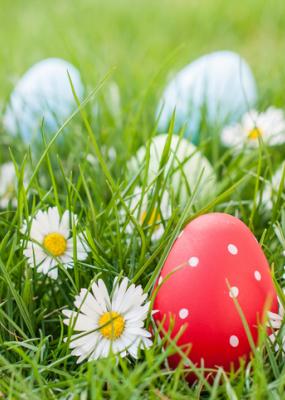 Pâques chasse aux oeufs dans le jardin