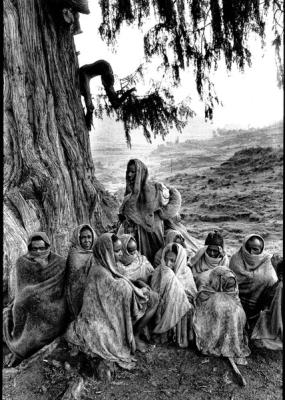 on y voit des femmes et des enfants aux pieds d'un arbre