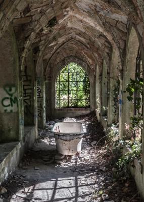 photo d'une ancienne salle de bain ou la végétation à prit sa place avec le temps