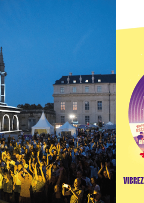 affiche du vec en jaune violet et bleu