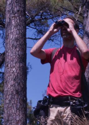 un homme tient des jumelles devant ses yeux en pleine nature
