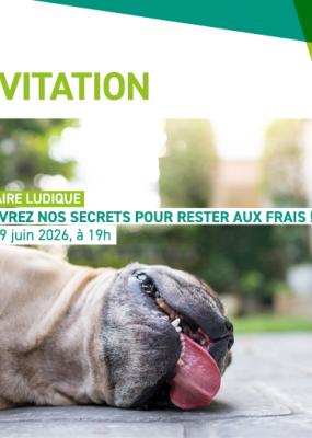 Un chien au sol tire la langue