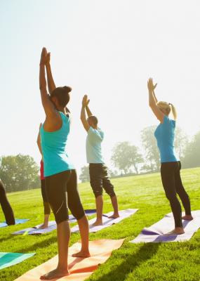 Des personnes de dos font du yoga en plein air