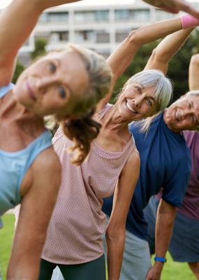 Groupe mature multiethnique de personnes pratiquant des étirements au parc