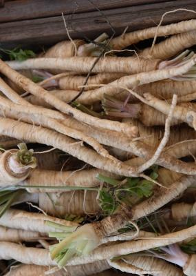 Marché de producteurs : Salsifis 