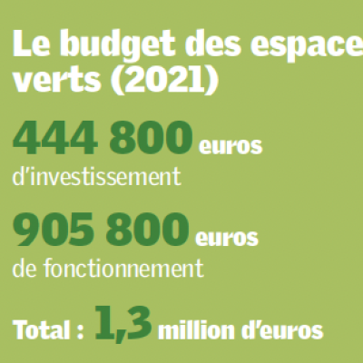 budget