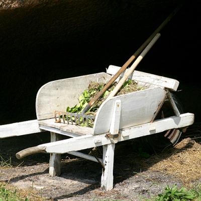 Déchets verts