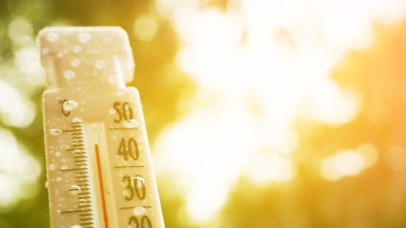 canicule