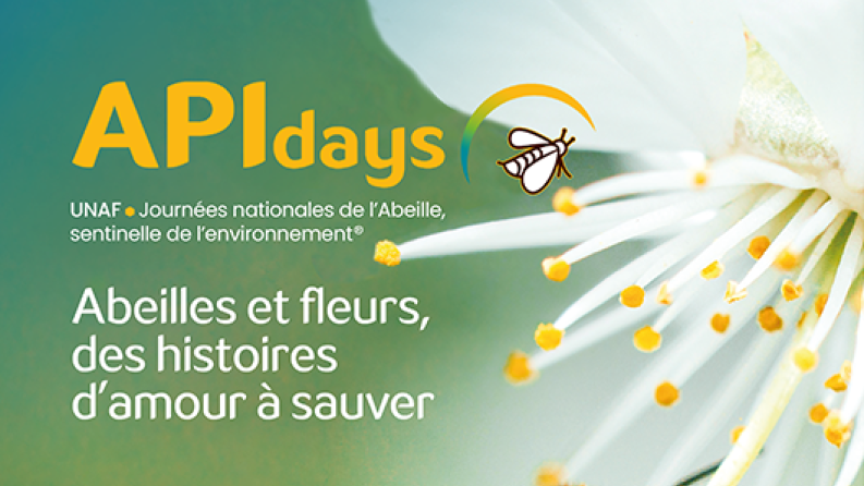 APIdays25