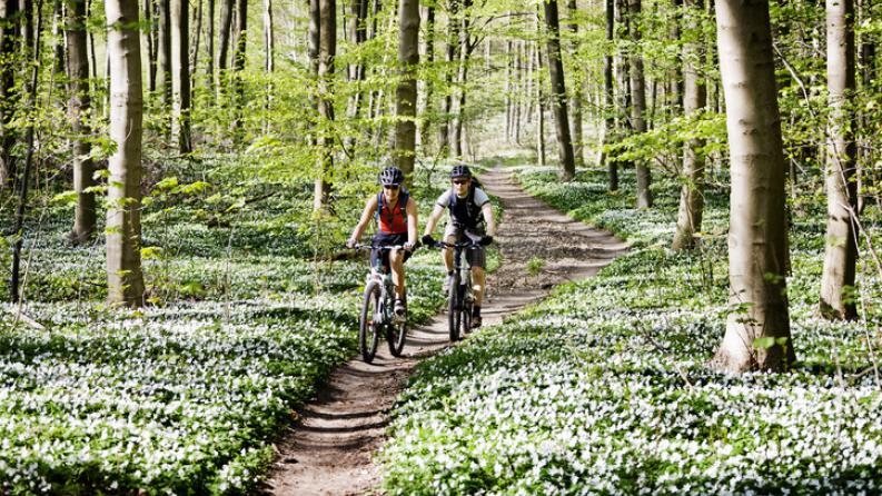balade en vélo